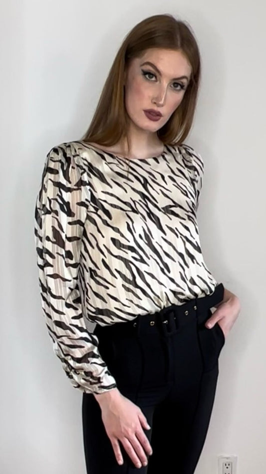 Long Sleeve Silky Blouse